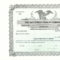 100+ [ Shares Certificate Template ] | Media Consent Form For Blank Share Certificate Template Free