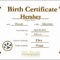 12 Birth Certificate Template | Radaircars With Baby Doll Birth Certificate Template