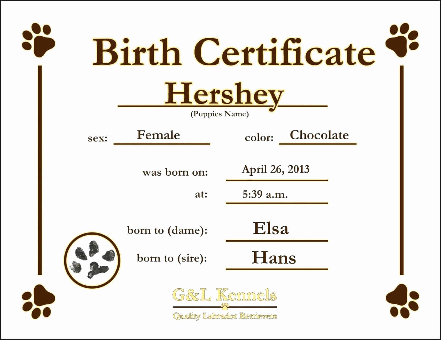 12 Birth Certificate Template | Radaircars With Baby Doll Birth Certificate Template