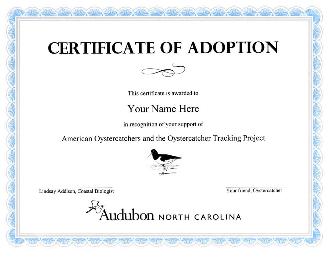 28+ [ Adoption Certificate Template ] | Adoption Certificate Throughout Pet Adoption Certificate Template