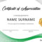30 Free Certificate Of Appreciation Templates And Letters In Certificate Of Excellence Template Word