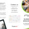 33 Free Brochure Templates (Word + Pdf) ᐅ Templatelab Inside Free Online Tri Fold Brochure Template