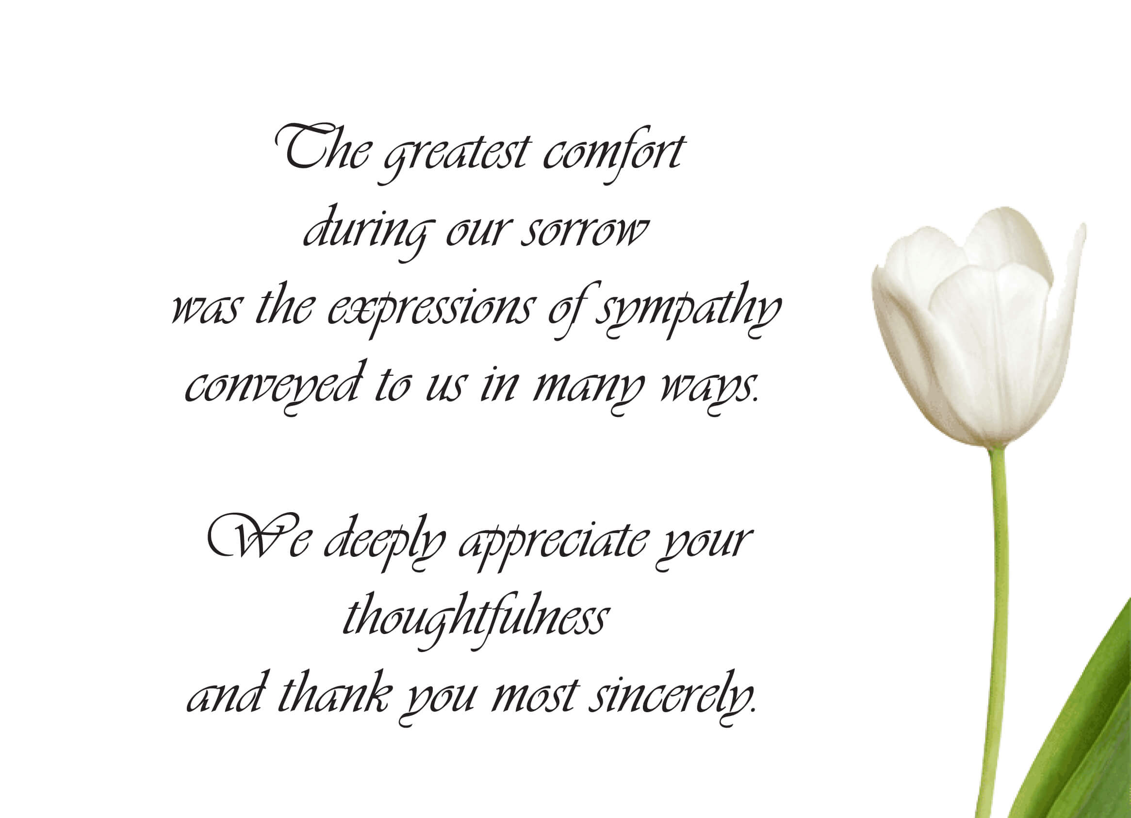 49 Visiting Thank You Card Template For Funeral For Ms Word Throughout Sympathy Thank You Card Template