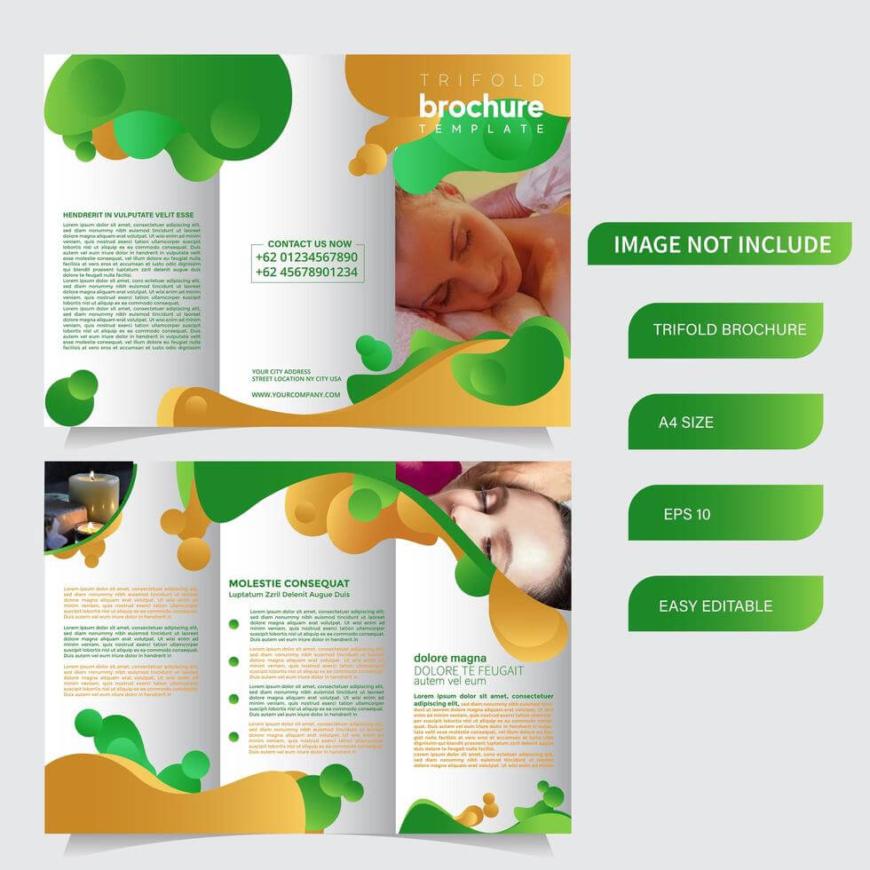 6 Page Trifold Brochure Template With Liquid Style Pertaining To Nutrition Brochure Template