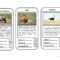 Animal Top Trumps Game – English Esl Powerpoints For For Top Trump Card Template