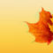 Autumn Ppt Background – Powerpoint Backgrounds For Free Inside Free Fall Powerpoint Templates