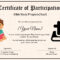 Bible Prophecy Program Certificate For Kids Template Intended For Christian Certificate Template