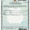 Birth Certificate Dominican Republic Regarding Spanish To English Birth Certificate Translation Template
