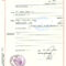 Birth Certificate Germany I With Birth Certificate Translation Template Uscis