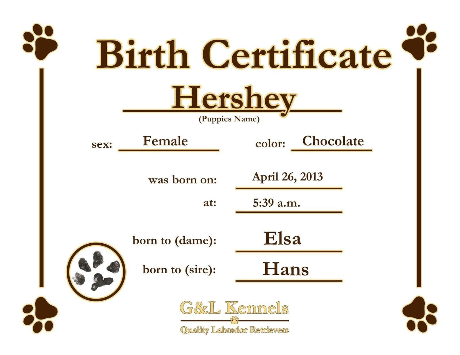 Birth Certificate Template 44 Free Word Pdf Psd Format Regarding Build A Bear Birth Certificate Template
