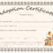 Blank Adoption Certificate Template – Calep.midnightpig.co In Birth Certificate Fake Template