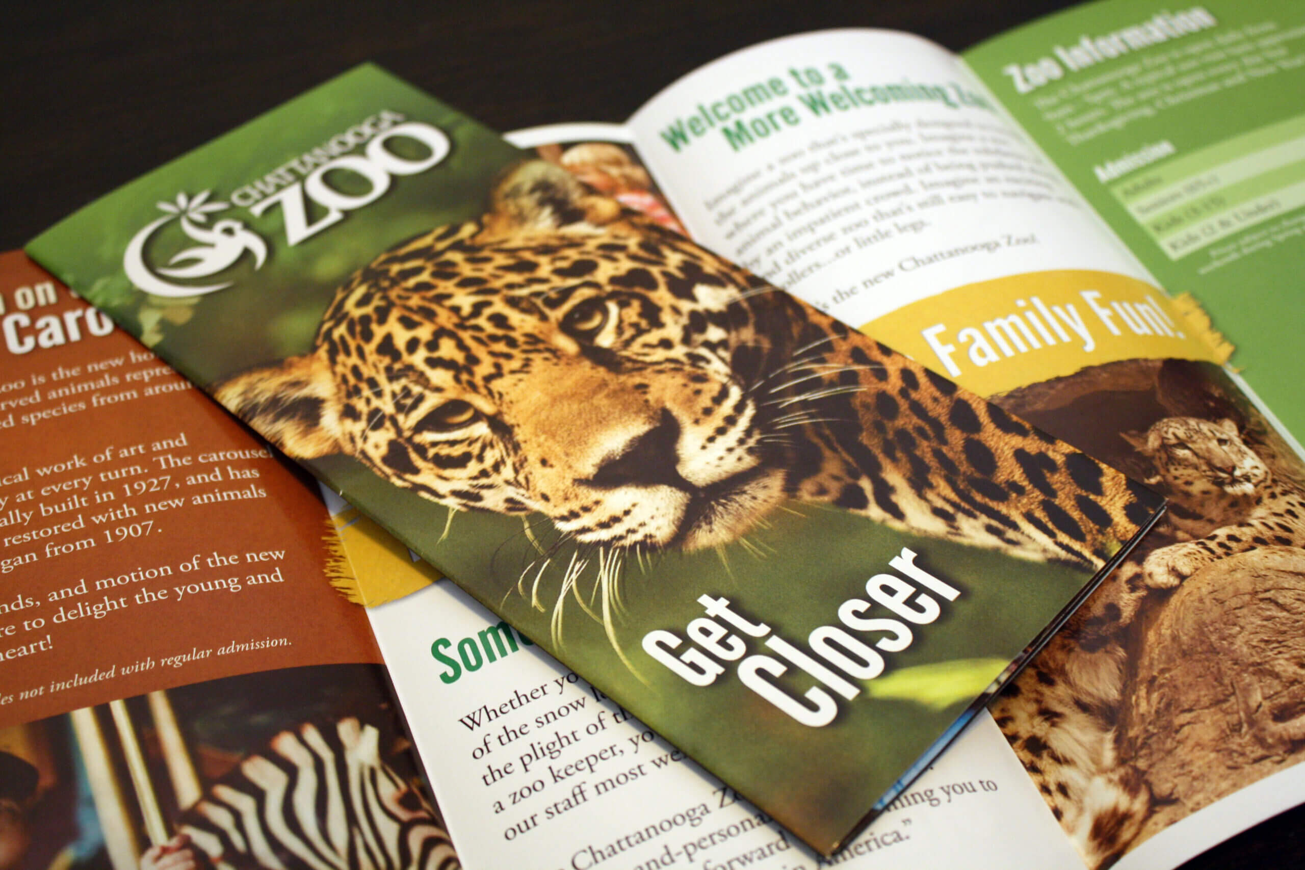 Brochure Design | Manning Design Regarding Zoo Brochure Template