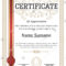 Certificate Diploma Completion Silver Design Template For Certificate Scroll Template