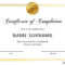 Certificate Of Completion Free Template – Calep.midnightpig.co Inside Free Training Completion Certificate Templates