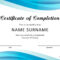Certificate Of Course Completion Template – Dalep.midnightpig.co Intended For Training Certificate Template Word Format