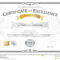 Certificate Of Excellence Award – Dalep.midnightpig.co With Life Saving Award Certificate Template