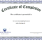 Certificate Template Training Course | Professional Cv Inside Template For Training Certificate