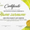 Certificate Template With Polygonal Style And Modern Pattern.. With Regard To Workshop Certificate Template