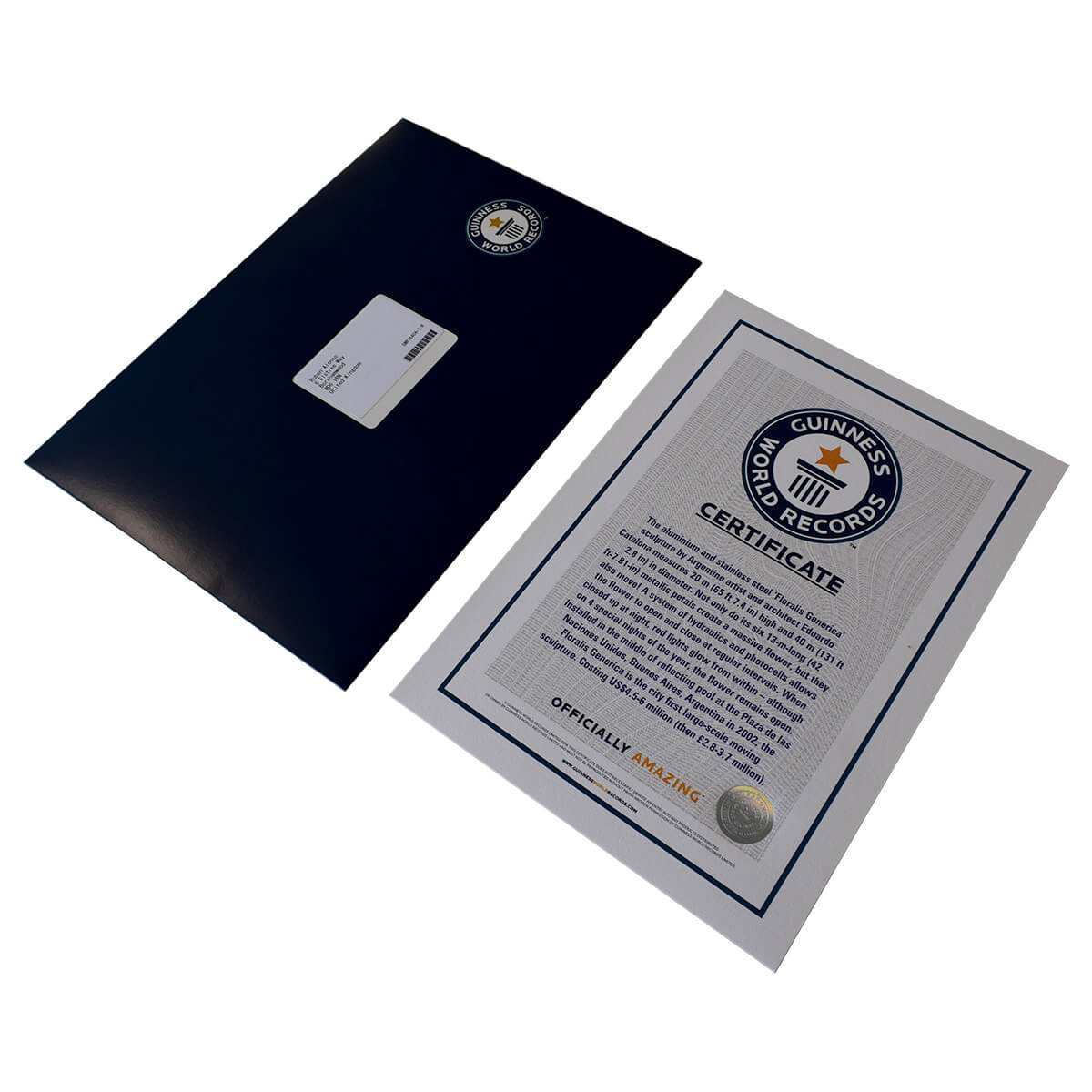 Certificates Regarding Guinness World Record Certificate Template