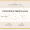 Certification Of Participation – Dalep.midnightpig.co Inside Hayes Certificate Templates