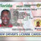 Check Out Florida's New Driver's Licenses And Id Cards In Florida Id Card Template
