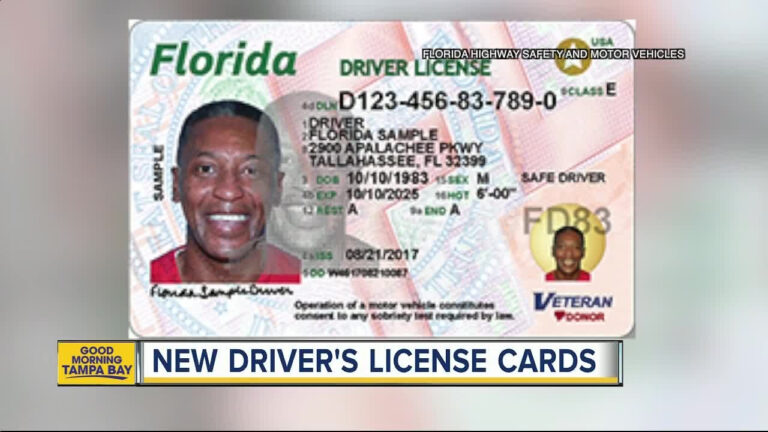florida id template florida drivers license template