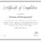 Completion Certificate – Calep.midnightpig.co Pertaining To Class Completion Certificate Template