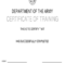 Da 87 Pdf – Fill Online, Printable, Fillable, Blank | Pdffiller In Army Certificate Of Completion Template