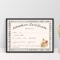 Doll Adoption Certificate Template Pertaining To Child Adoption Certificate Template