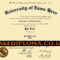 Fake Birth Certificates & Fake Birth Certificates Any Country For Novelty Birth Certificate Template