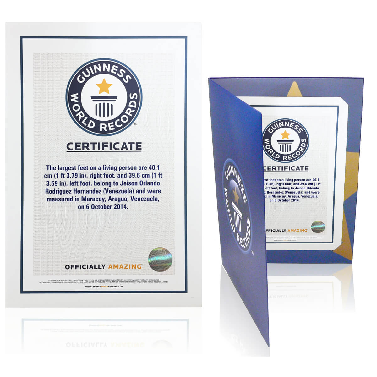 Fake Guinness World Record Certificate – Calep.midnightpig.co Within Guinness World Record Certificate Template