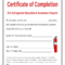 Fire Extinguisher Certificate Template – Fill Online For Fire Extinguisher Certificate Template