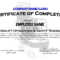 Forklift Certificate Template Free – Calep.midnightpig.co Within Forklift Certification Card Template