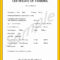 Forklift Operator Card Template – Carlynstudio Throughout Forklift Certification Template