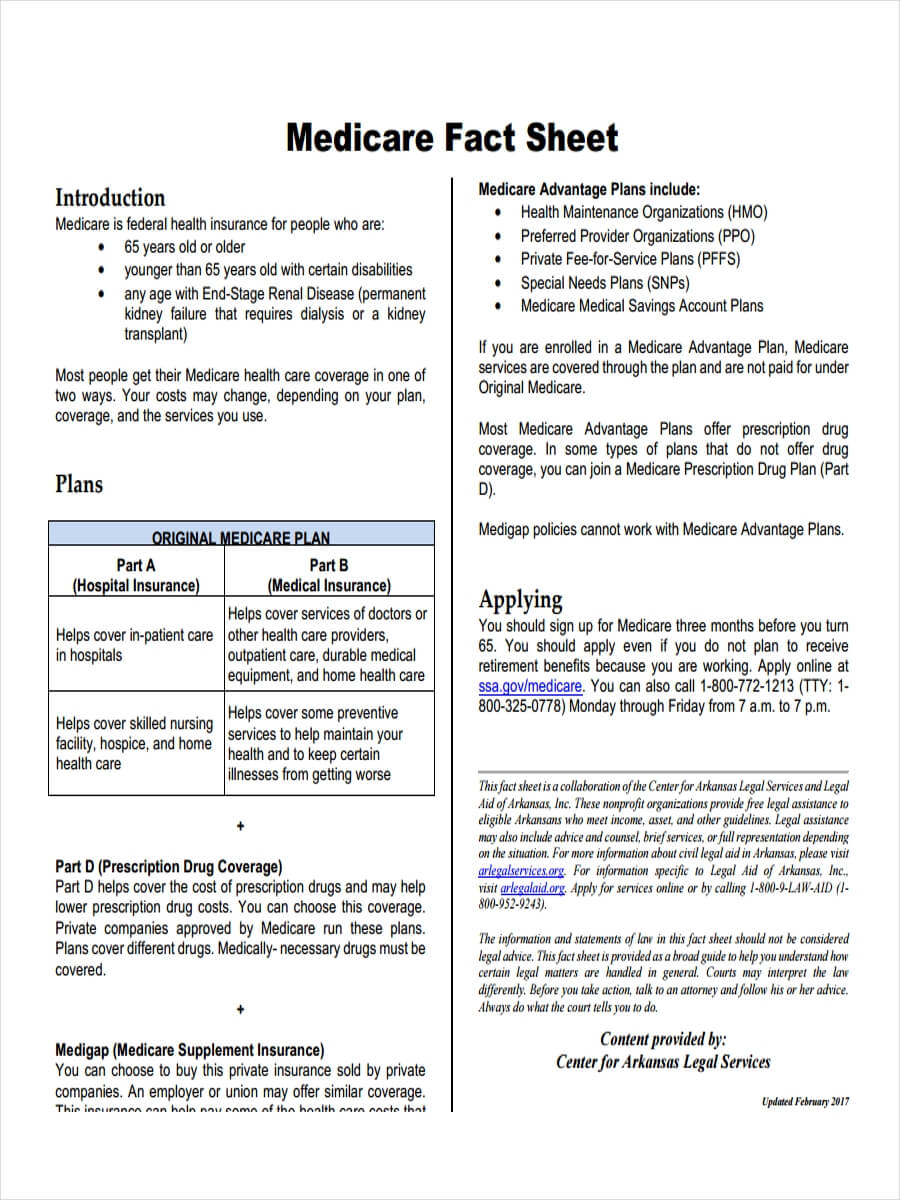 Free 19+ Fact Sheet Examples & Samples In Word Pages Pdf inside