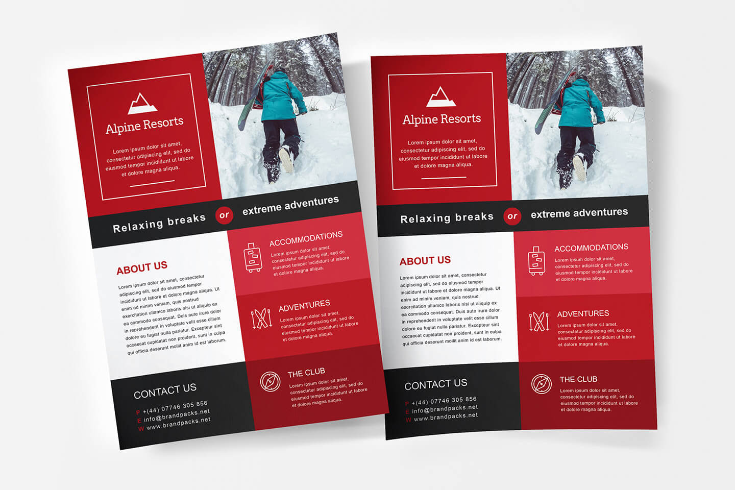 A4 Brochure Template Ai Free Download