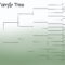 Free Family Tree Forms – Calep.midnightpig.co Throughout Powerpoint Genealogy Template