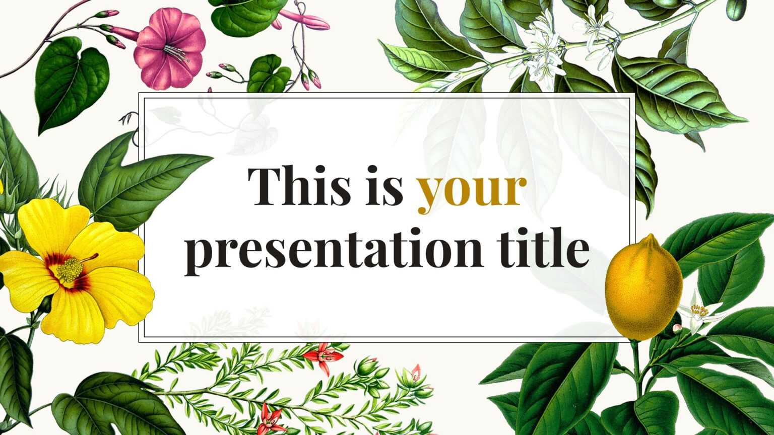 Free Original Powerpoint Template Or Google Slides Theme Within Pretty Powerpoint Templates 1536x864 