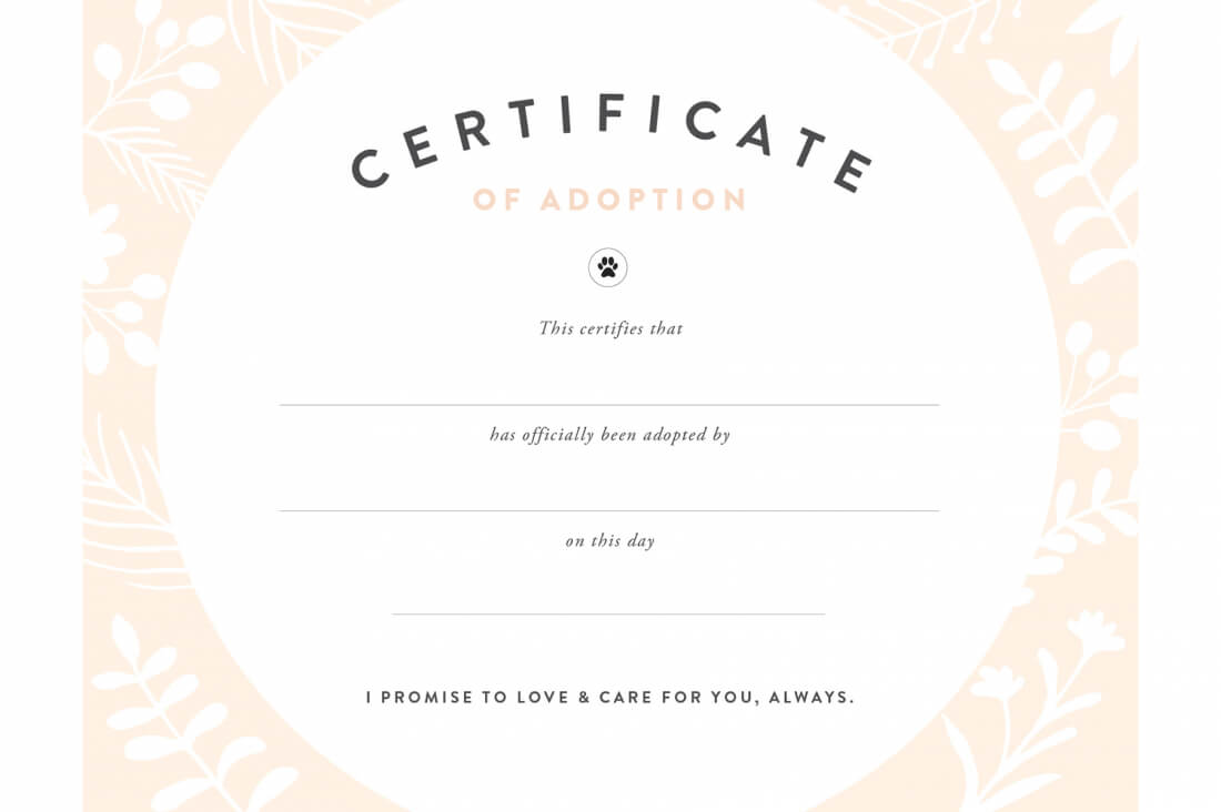 Free Printable Adoption Certificate – Calep.midnightpig.co Regarding Blank Adoption Certificate Template