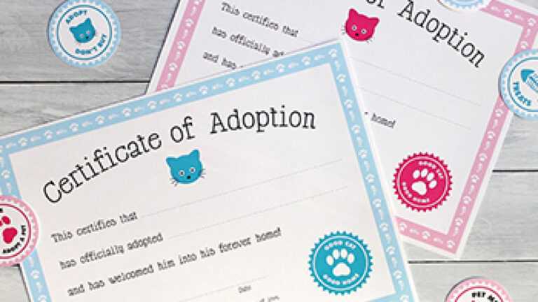 free-printable-cat-adoption-kit-chickabug-pertaining-to-pet-adoption