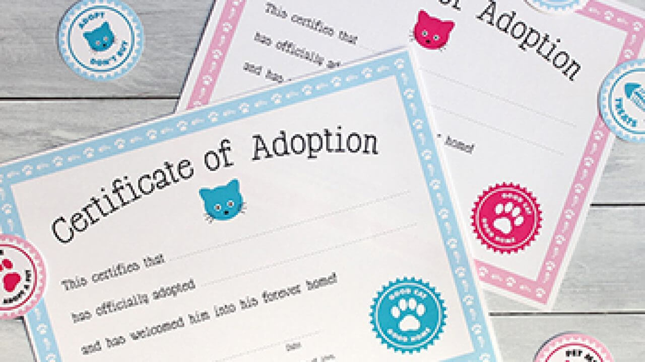 Free Printable Cat Adoption Kit | Chickabug Pertaining To Pet Adoption Certificate Template