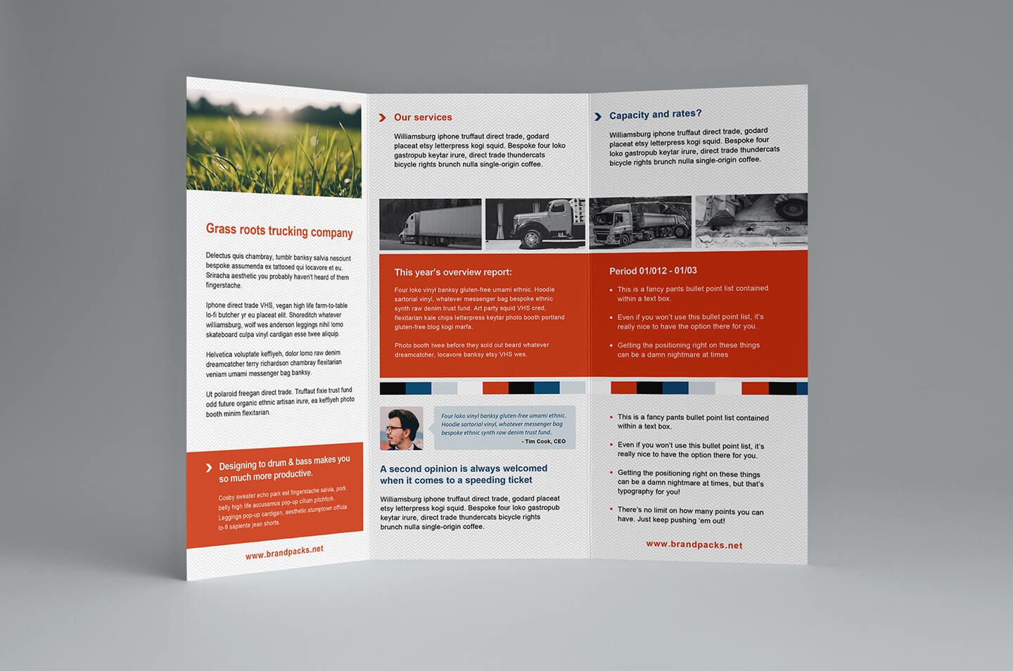 Free Tri Fold Brochures Templates – Dalep.midnightpig.co Inside Brochure Templates Adobe Illustrator