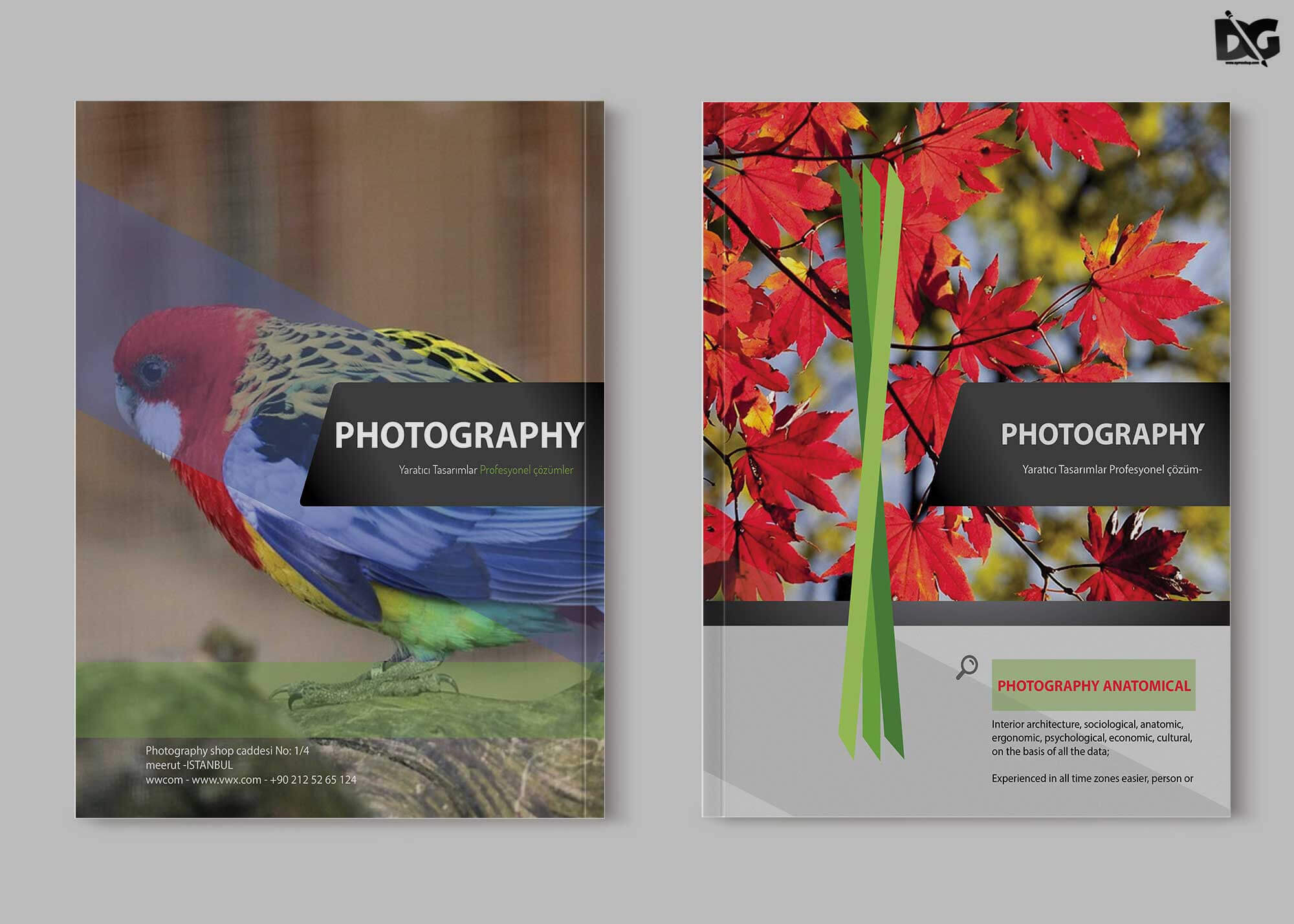 Free Zoo Photography Psd Brochure Template | Free Psd Mockup Intended For Zoo Brochure Template