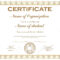 General Purpose Certificate Or Award With Sample Text That Can.. for Promotion Certificate Template