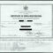 German Birth Certificate Template – Calep.midnightpig.co For Uscis Birth Certificate Translation Template