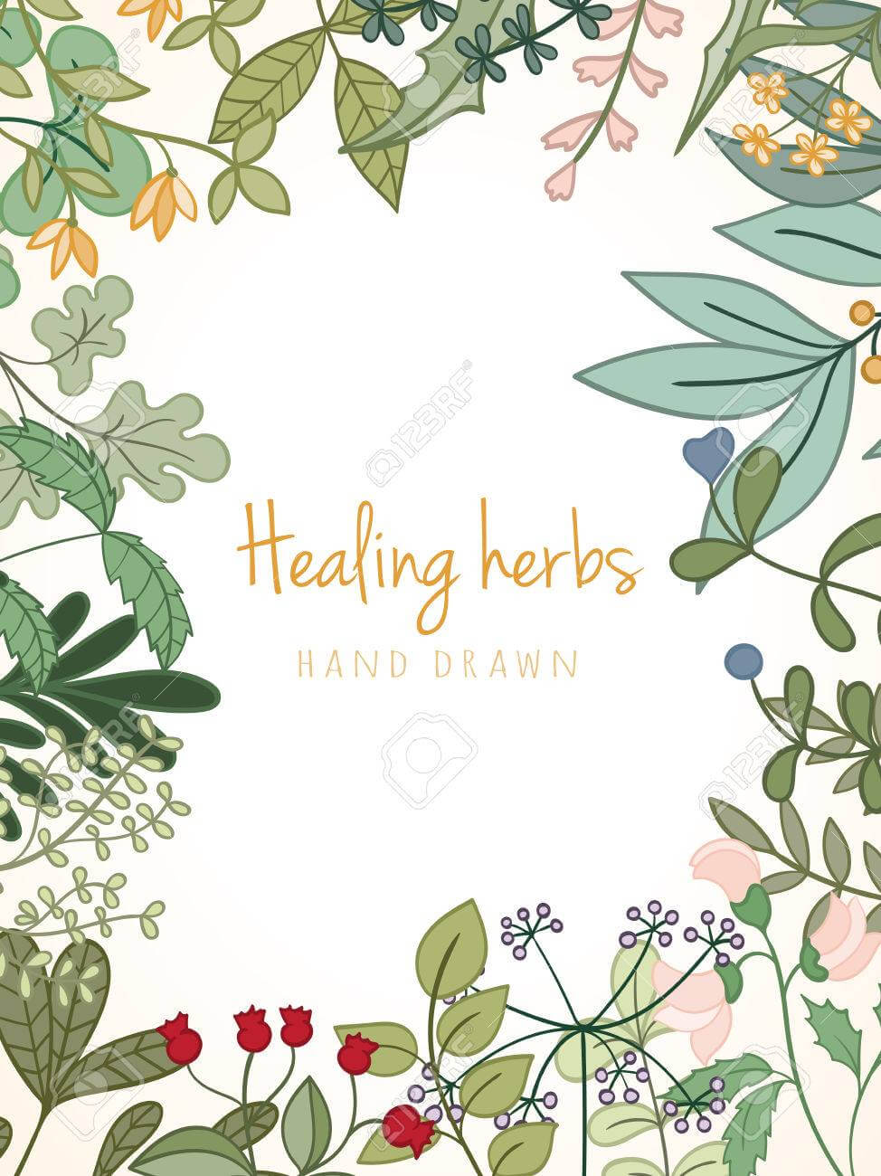 Hand Drawn Vintage Background Of Medicinal Organic Healing Herbs. Vector  Medical Plants And Herbal Botanical Flowerelements Can Be Used For Banner For Med Card Template