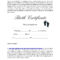 How To Create A Fake Birth Certificate – Calep.midnightpig.co Pertaining To Fake Birth Certificate Template