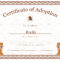 Kitten Adoption Certificate With Regard To Adoption Certificate Template