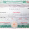 Llc Membership Certificates Templates – Dalep.midnightpig.co Intended For Llc Membership Certificate Template