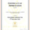 Minister License Certificate Template – Carlynstudio With Certificate Of License Template